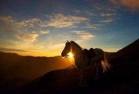 bromo midnight tour package