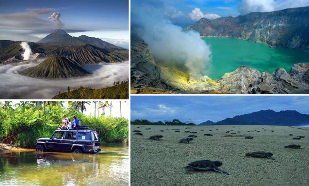 Ijen sukamade turtle beach bromo tour - Mt Bromo Prewedding Package, Bromo Ijen Sukamade Turtle Beach Tour, Mount Bromo - Ijen - Tumpak Sewu Waterfall 4D3N, Ijen Blue Flame Tour Package, Mount Bromo Ijen Sewu Waterfall Malang City Tour, Bromo Ijen Tour Agency