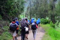 mount semeru trekking tour 3 days 2 nights package