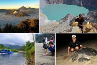 mount bromo ijen sukamade turtle beach tour