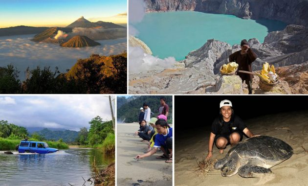 mount bromo ijen sukamade turtle beach tour