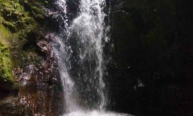 kalibendo waterfall banyuwangi