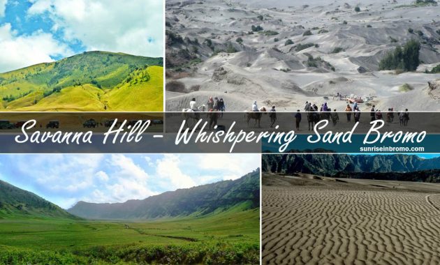 savanna hill and whishpering sand mount bromo