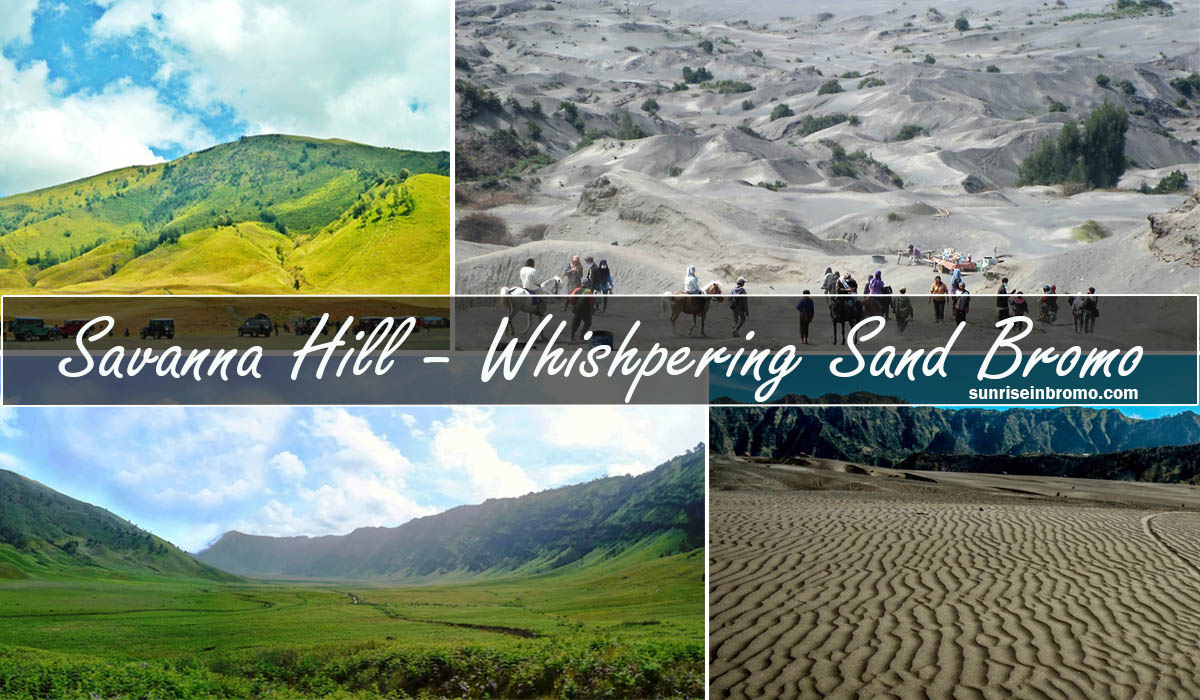 savanna hill and whishpering sand mount bromo