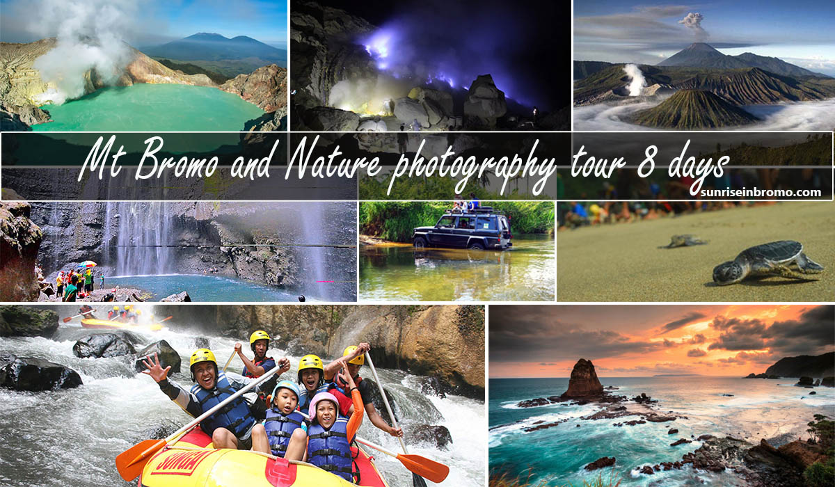 bromo nature photography 8 days