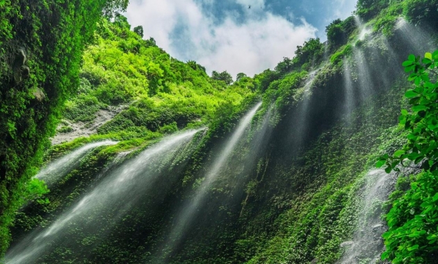 madakaripura waterfall1 - Mt Bromo Prewedding Package, Bromo Ijen Sukamade Turtle Beach Tour, Mount Bromo - Ijen - Tumpak Sewu Waterfall 4D3N, Ijen Blue Flame Tour Package, Mount Bromo Ijen Sewu Waterfall Malang City Tour, Bromo Ijen Tour Agency