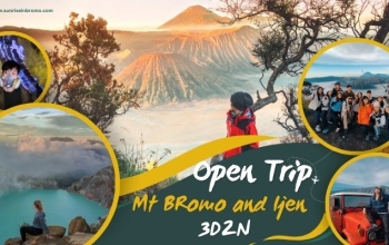 open trip bromo ijen