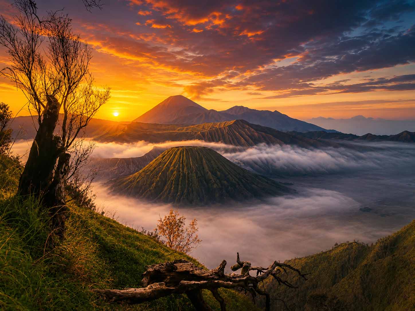 Mount Bromo sunrise private tour