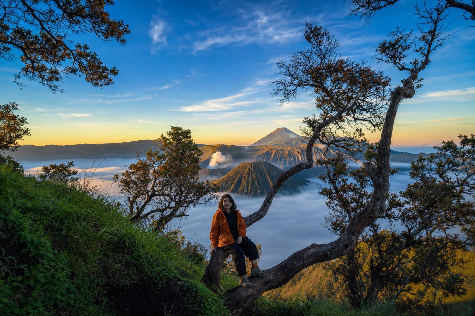 Mount Bromo sunrise panorama
